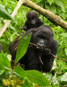 mom and baby